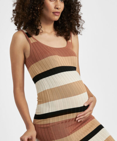Sarah Stripe Knit Dress